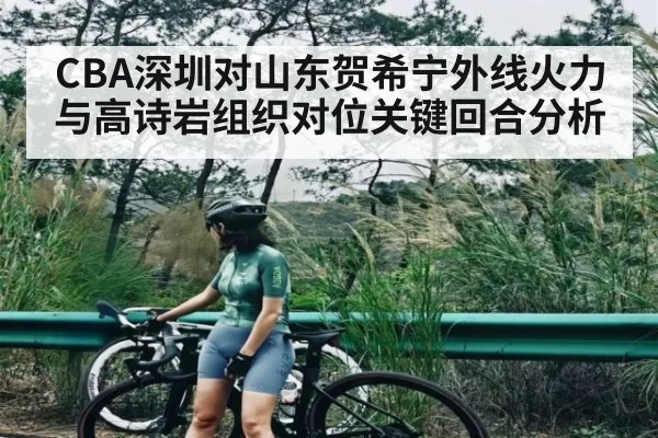 CBA深圳对山东贺希宁外线火力与高诗岩组织对位关键回合分析（LEYU SPORTS）